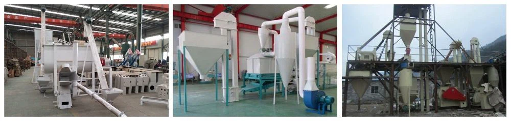 Automated Feed Pellet Equipment Automated Feed Pellet Equipment