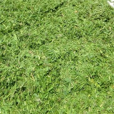 500-kg-chopping-feed-processing-machine