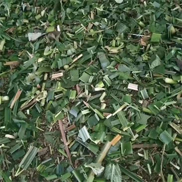 600kg-h-grain-crusher-chaff-cutter