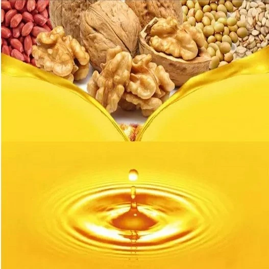 Stainless steel edible oil refining machine