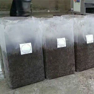 Double screw rectangular bag filling (2)