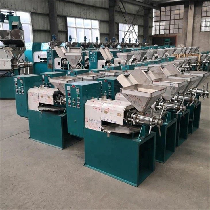 Sunflower Oil Extractor