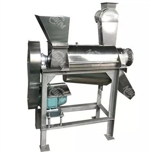 Large Fruit Juicer